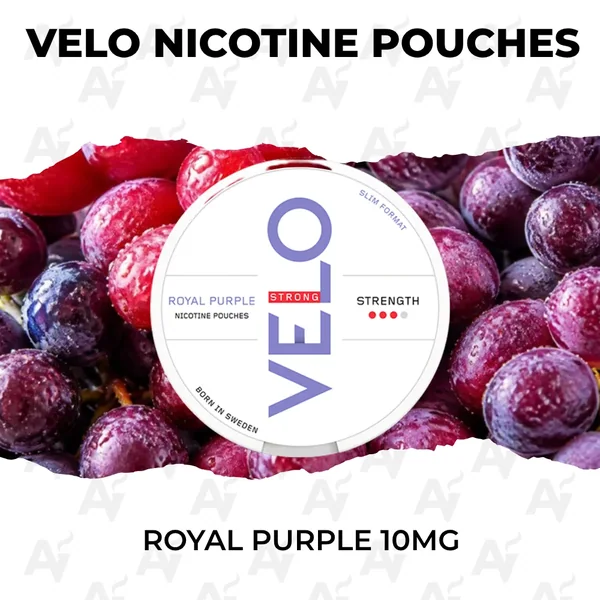 VELO Nicotine Pouches – Royal Purple 10mg