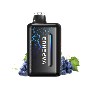 Vapehub Ultra 20000 Puffs Blueberry Blast Storm