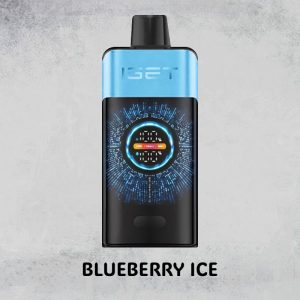 IGET One Blueberry Ice 12000 Puffs