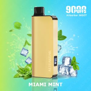 Alibarbar Ingot 9000 Puffs Miami Mint