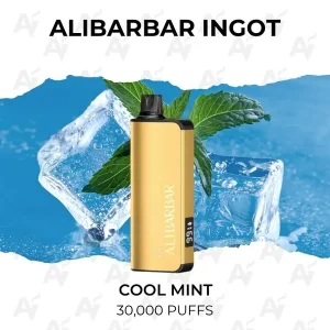 Alibarbar Ingot 30000 Puffs Cool Mint | Australian Vapers
